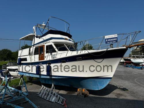 Marine Trader 36 avis et fiche technique 